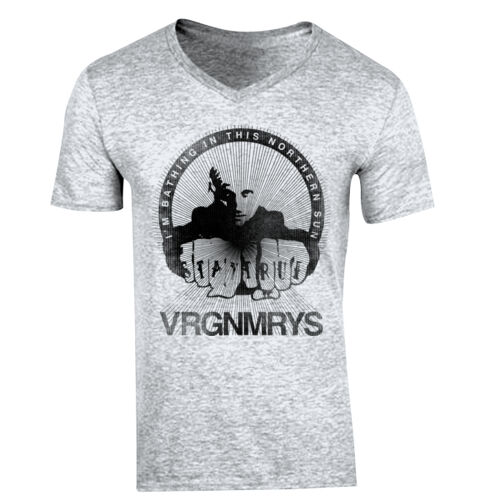 BATHING IN THE NORTHERN SUN - GD10 Softstyle® Adult V-Neck T-Shirt Thumbnail